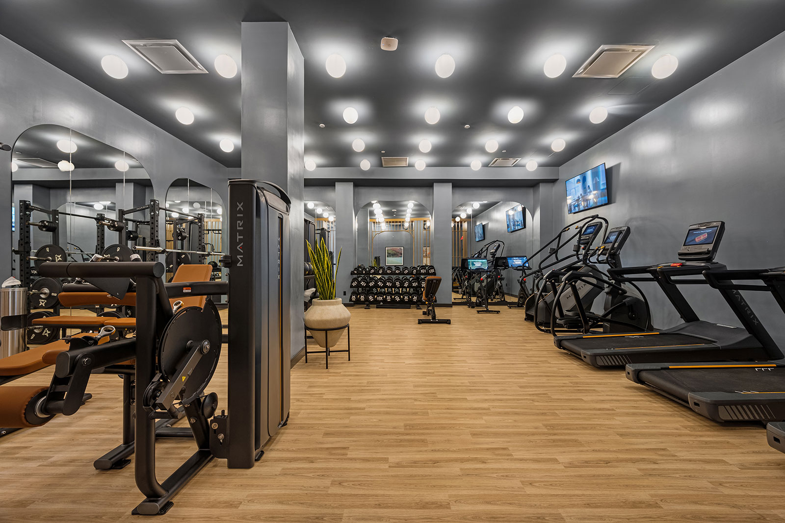 Fitness center located at 1975 Madison Ave offers top-of-the-line equipment to help you achieve all your wellness and training goals.